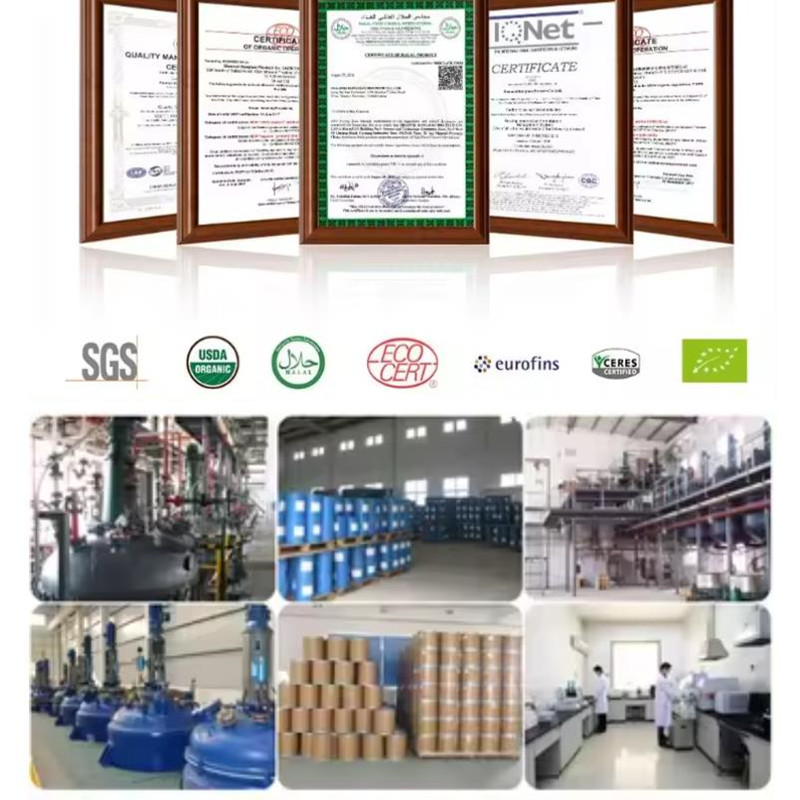 2563,Factory pre sealing -Olig - Oligopeptide Wrinkle 리뷰 및 가격