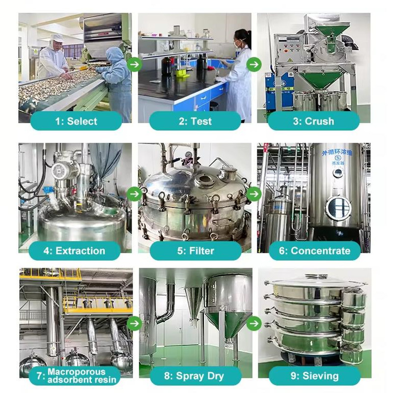 2563,Factory pre sealing -Olig - Oligopeptide Wrinkle 리뷰 및 가격